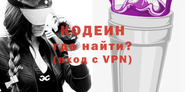 хмурый Арсеньев