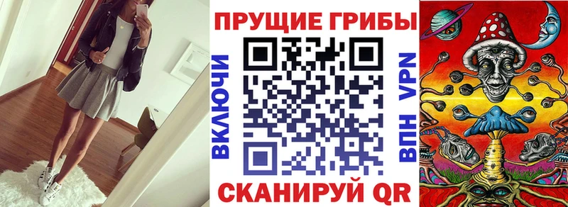 Псилоцибиновые грибы Cubensis  купить закладку  Салават 